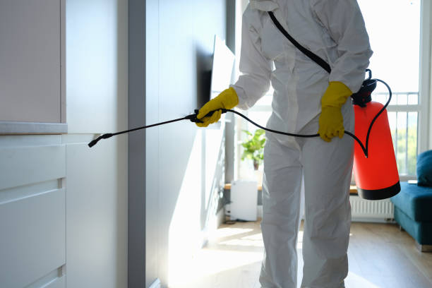 Mold Remediation for Rental Properties